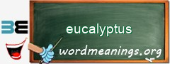 WordMeaning blackboard for eucalyptus